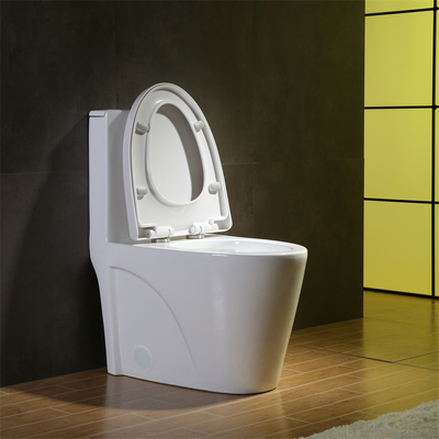 Ceramic Material Elongated Bowl 1 Piece Cupc Toilet With Soft - Close Seat