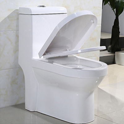 White 1 One Piece Dual Flush Comfort Height Toilet S Trap 300mm 10" Roughing In