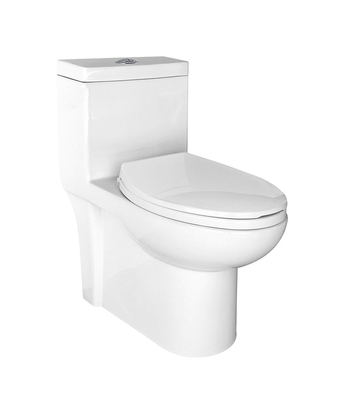 12 Inch Rough In Toilet Single Flush Siphon S Trap Wc Eastern Water Closet