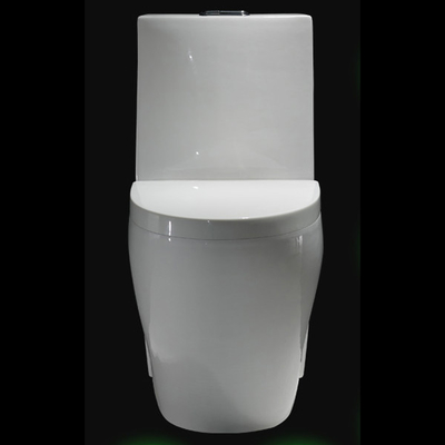 26&quot; One Piece Skirted Dual Flush Toilet Flush Valve Ceramic Tall Toilet Bowls