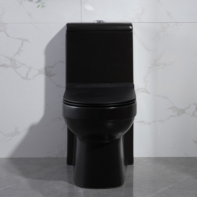 Elongated Matt Black Dual Flush One Piece Toilet 1.6 Gpf Cupc Ceramic Round