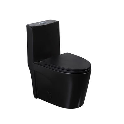 One-Piece Elongated Dual-Flush Toilet With Skirted Trapway White Black 680mm