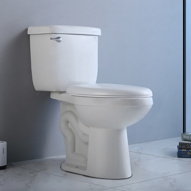 10 Inch Rough In Ada Comfort Height Toilet Siphon Flushing Toilet Round ...