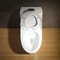 Ceramic Material Elongated Bowl 1 Piece Cupc Toilet With Soft - Close Seat
