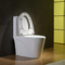 Two Flush Modes Premier Elongated Toilet Water Saving Effect