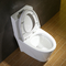 Elongated Dual Flush One Piece Toilet Water Saving Patented Technology