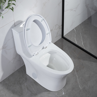 Odm Dual Flush Elongated Toilet With Side Holes American Standard