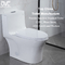 Odm Dual Flush Elongated Toilet With Side Holes American Standard