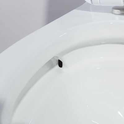 Ceramic One Piece Toilet Self Cleaning Glazed Surface 1.6 Gpf Elongated Toilet