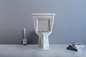 American Standard Two Piece Toilet With 10-Inch Rough-In Siphon Flushing
