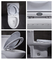 28inch Siphonic One Piece Toilet Comfort Height Elongated Hotel Bathroom