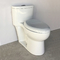 10 Inch Rough In One Piece Elongated Toilet 1 Piece Comfort Height Toilet