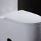 Ada American Standard Floor Mounted Toilet One Piece Water Closet MAP 800G