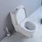 1-Piece 1.1 Gpf/1.6 Gpf High Efficiency Dual Flush Elongated All-In-One Toilet In White