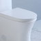 1-Piece 1.1 Gpf/1.6 Gpf High Efficiency Dual Flush Elongated All-In-One Toilet In White