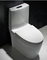 12 Inch Rough In Round Siphonic Dual Flush Toilet Bowls S Trap Water Closet