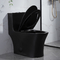 Siphon Dual Flush Valve Bathrooms Toilets Matte Black Csa Toilet With 10.5 Rough In Black