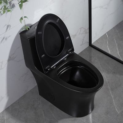 Siphon Dual Flush Valve Bathrooms Toilets Matte Black Csa Toilet With 10.5 Rough In Black