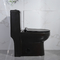 Modern Bathrooms Toilets Dual-Flush Elongated 1-Piece Toilet With Soft-Closing Seat