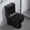 400mm Siphonic One Piece Toilet And Bidet Wc For Hotel Villa Apartment