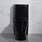 300mm Siphonic One Piece Toilet American Standard Black Porcelain
