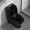 Ceramic One Piece Toilet Tall American Standard No Loosen Seat Commode