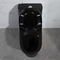 300mm Siphonic One Piece Toilet American Standard Black Porcelain