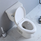 Elongated 2 Piece Toilet Watersense Commercial Toilets Soft Closed PP Seat