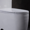 21 Inch Ada Comfort Height Toilet 1.6 Gpf One Piece Commode Porcelain Tall