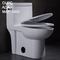 Modern One Piece Skirted Toilet Round Seat White Elongated Comfort Height