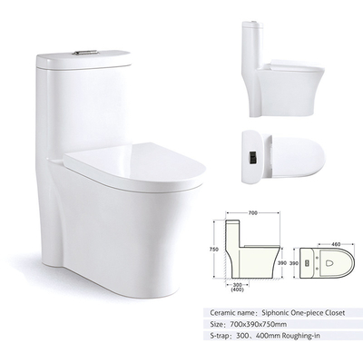 Pressure Assist Siphon Flush Valve One Piece Skirted Toilet Bidet Map 1000G