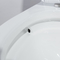 Glazed Ceramic Siphonic Dual Flush One Piece Toilet 12 Inch Rough In