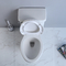 Rimless Two Piece Toilet Ceramic Siphon Flushing Bathroom s-trap 250mm 300mm