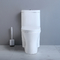 Siphonic Round American Standard One Piece Dual Flush Toilet Elongated Bowl