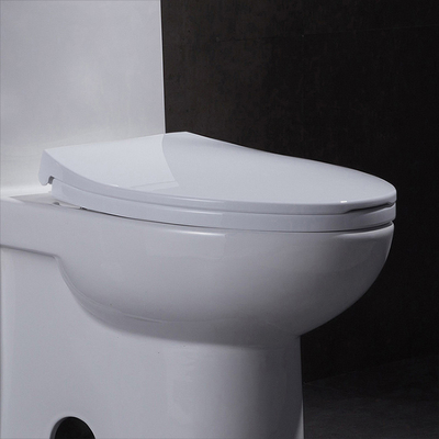 Elongated Siphonic One Piece Toilet 10 Rough In Leak Proof Soft Closing