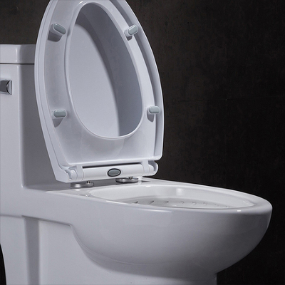 Elongated Siphonic One Piece Toilet 10 Rough In Leak Proof Soft Closing