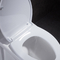 Elongated Siphonic One Piece Toilet 10 Rough In Leak Proof Soft Closing