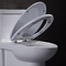 Watersense Dual Flush Siphonic One Piece Toilet Ada Silence Slow Down Cover