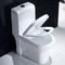19 Inch Tall Elongated One Piece Floor Mounted Toilet 15 Inch