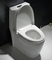 One Piece Round Toilet Dual Flush Single Piece Commode Flush Tank 12 Rough In