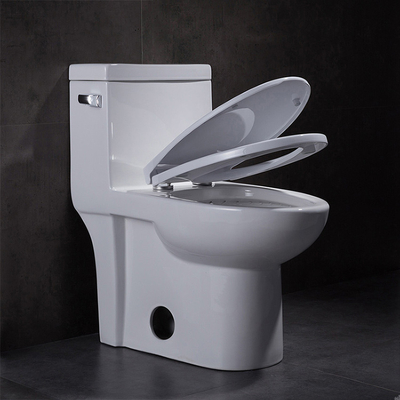 Dual Flush Elongated One Piece Toilet With Soft Closing Seat 1.28gpf/4.8lpf