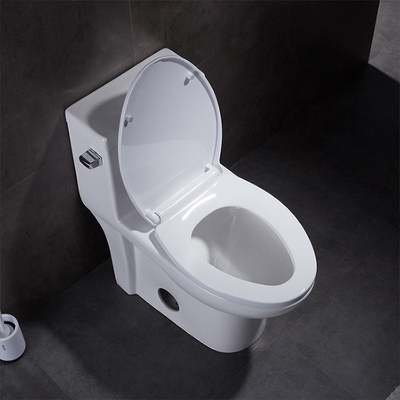 Dual Flush Elongated One Piece Toilet With Soft Closing Seat 1.28gpf/4.8lpf