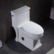 Ceramic Ada One Piece Skirted Toilet Washroom Water Closet Compact Elongated