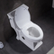 Ceramic Ada One Piece Skirted Toilet Washroom Water Closet Compact Elongated