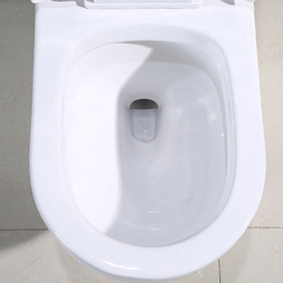 White Bathrooms Toilets Single Flush Elongated Skirted One Piece Toilet Bowl Syphon