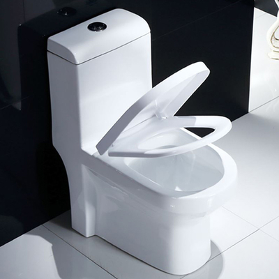 Ada Compliant Dual Flush Toilet Seat 1 Piece 1.28gpf/4.8lpf