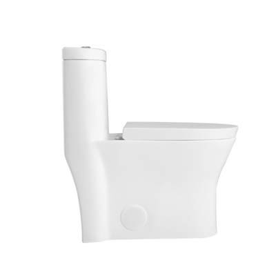 19 Inch Ada Comfort Height Toilet Elongated One Piece Bathroom Ceramic