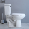 Porcelain Washdown Two Piece Toilet Bathroom Integrated Siphon Water Closet