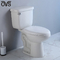 Porcelain Washdown Two Piece Toilet Bathroom Integrated Siphon Water Closet