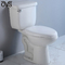 Tall Ada 2 Piece Toilet Dual Flush Toilet Elongated Bowl Two Piece Closet